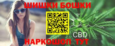 шишки Кандалакша