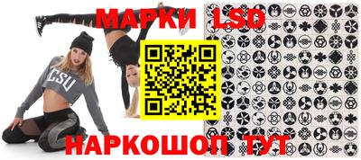 шишки Кандалакша