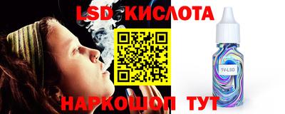 молекула духа Камышлов