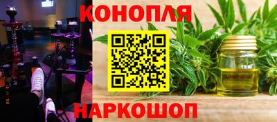 шишки Кандалакша