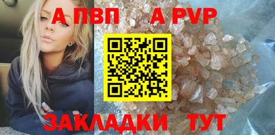 шишки Кандалакша