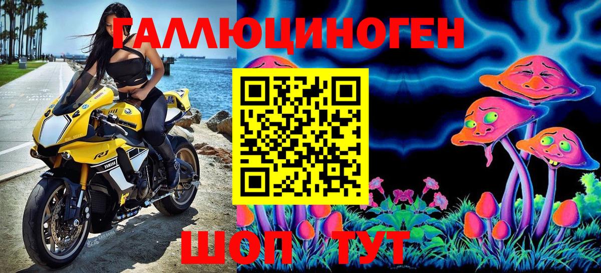 Куйбышев  Галлюциногенные грибы GOLDEN TEACHER  Вход с VPN 