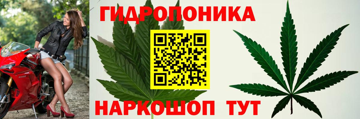 Куйбышев  Конопля MAZAR  Вход с VPN  Канабис марихуана  Каннабис SATIVA & INDICA 
